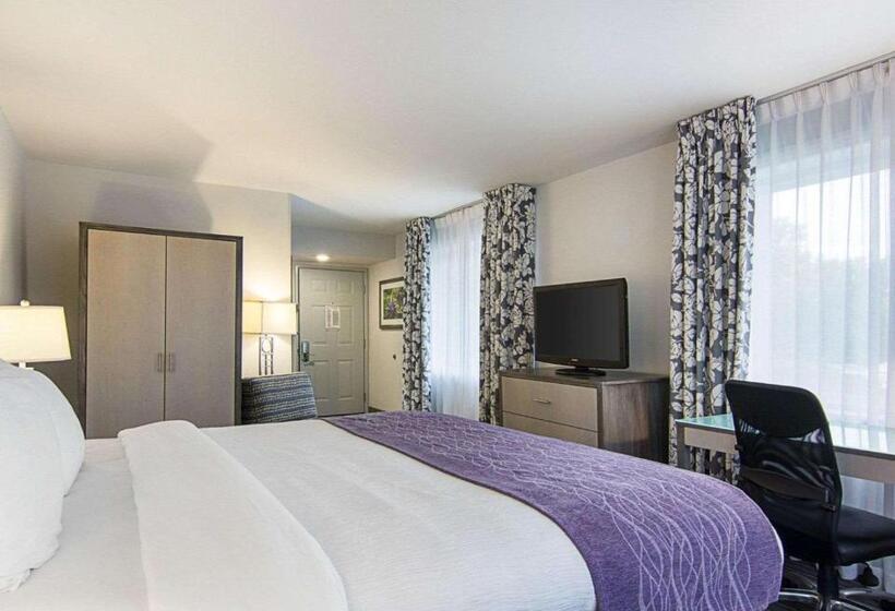 带大床的标准间, Comfort Inn Williamsburg Gateway