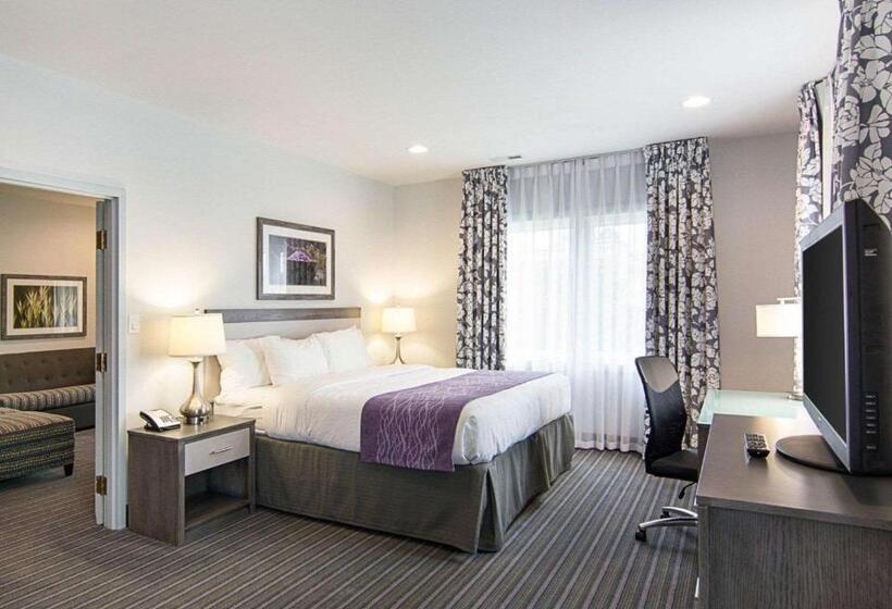 Family Suite, Comfort Inn Williamsburg Gateway