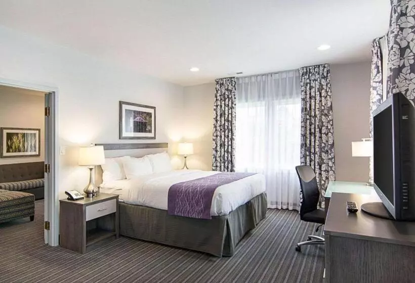 سوییت خانوادگی, Comfort Inn Williamsburg Gateway