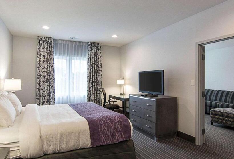 Люкс Кровать Кинг, Comfort Inn Williamsburg Gateway