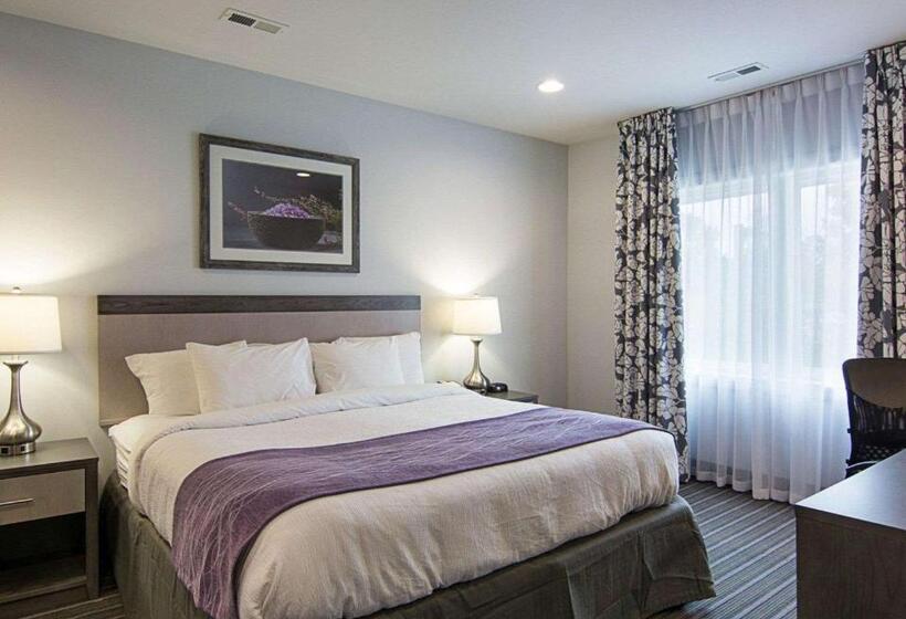 Номер Стандарт Кровать Кинг Адаптированный для Инвалидов, Comfort Inn Williamsburg Gateway