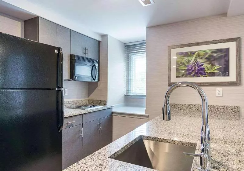 سوئیت با تخت بزرگ, Comfort Inn Williamsburg Gateway