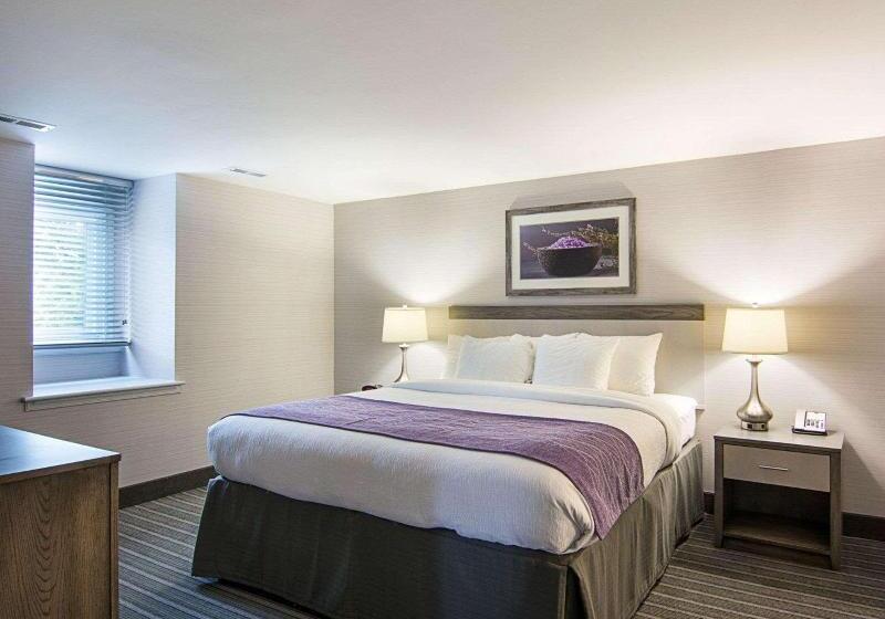 带大床的套房, Comfort Inn Williamsburg Gateway
