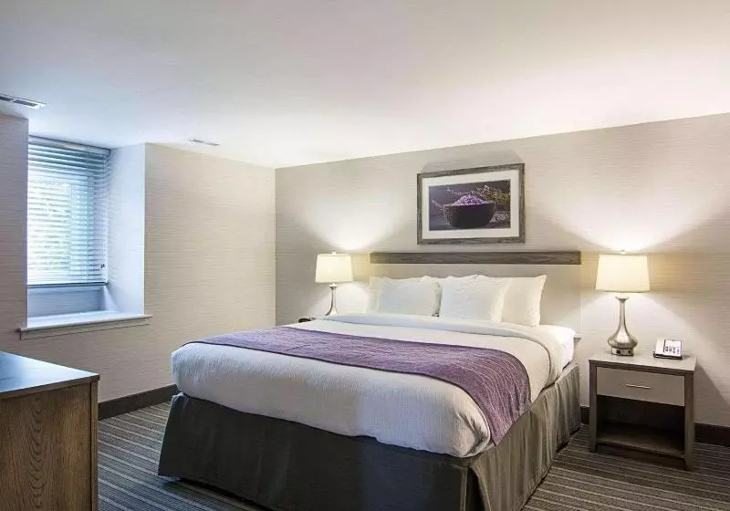 سوئیت با تخت بزرگ, Comfort Inn Williamsburg Gateway