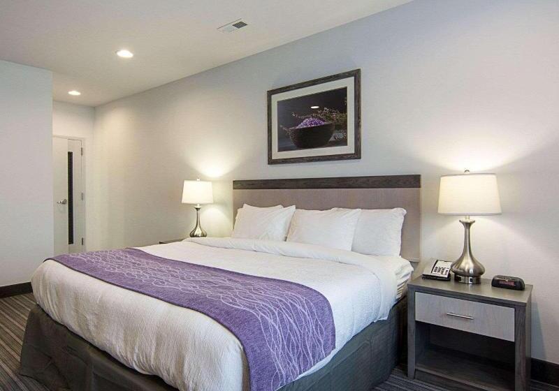 带大床的套房, Comfort Inn Williamsburg Gateway