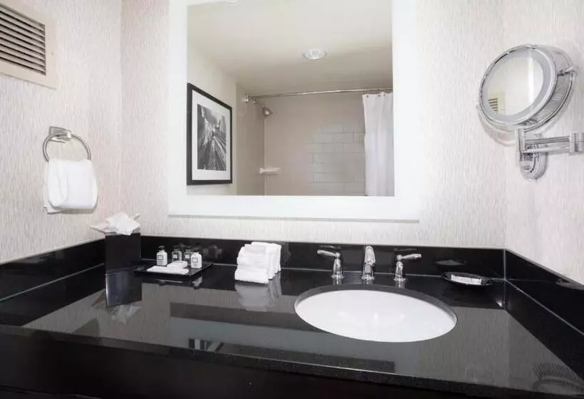 اتاق استاندارد با تخت بزرگ, Crowne Plaza Kansas City Downtown, An Ihg