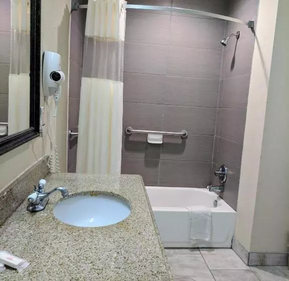 اتاق استاندارد با تخت بزرگ, Days Inn By Wyndham San Antonio Interstate Hwy 35 North