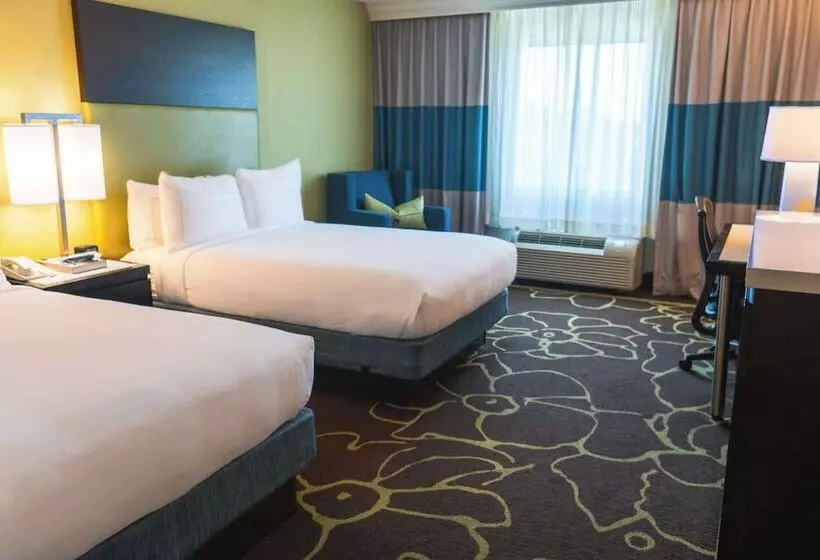 اتاق استاندارد با 2 تخت دوبل, Doubletree By Hilton Charlotte Uptown