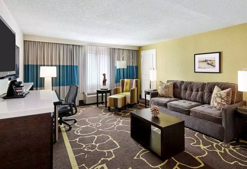 اتاق استاندارد برای معلولان, Doubletree By Hilton Charlotte Uptown