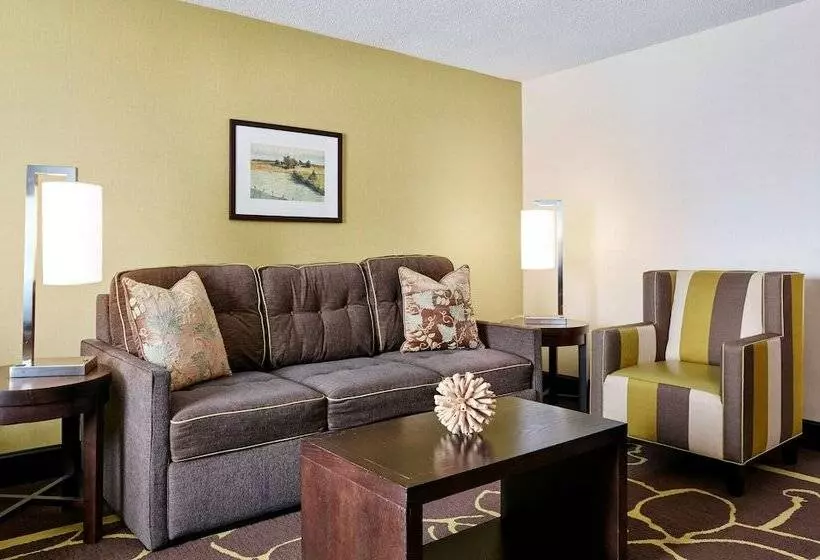 اتاق استاندارد برای معلولان, Doubletree By Hilton Charlotte Uptown