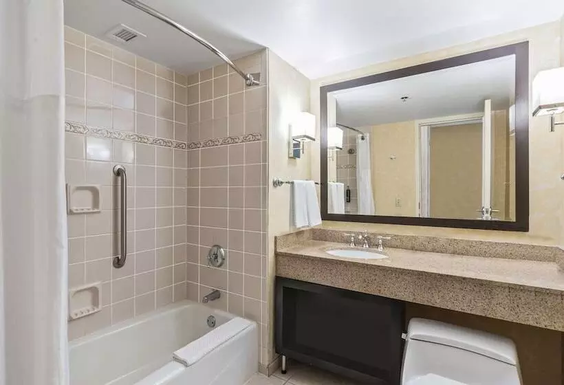 اتاق استاندارد برای معلولان, Doubletree By Hilton Charlotte Uptown