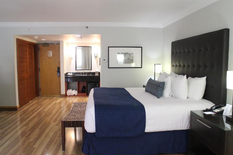 سوئیت جونیور با تخت بزرگ, Miami Lakes