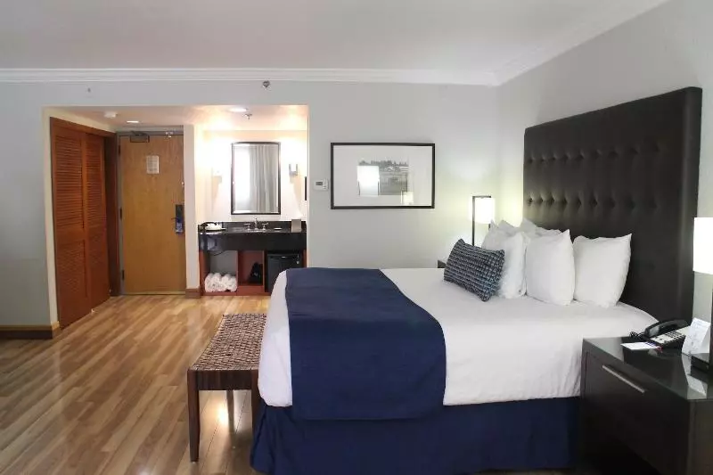 سوئیت جونیور با تخت بزرگ, Miami Lakes