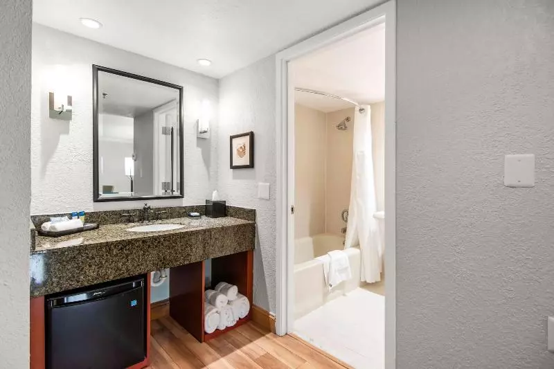 سوئیت جونیور با تخت بزرگ, Miami Lakes