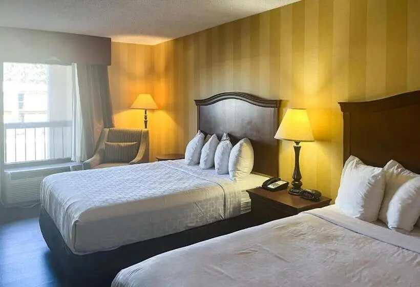エコノミールーム, Motel 6 Stafford, Va Quantico