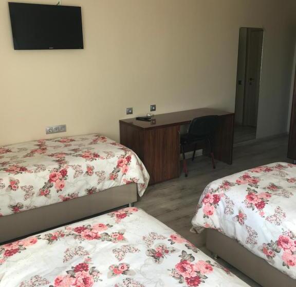 غرفة قياسية ثلاثية, Gunes Otel