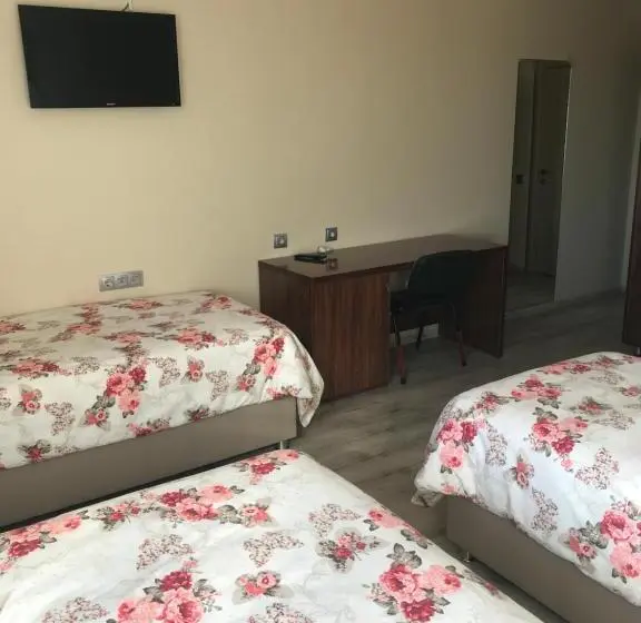 スタンダードトリプルルーム, Gunes Otel