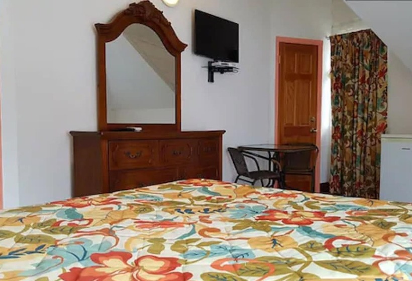 استودیوی لوکس, Fantastic