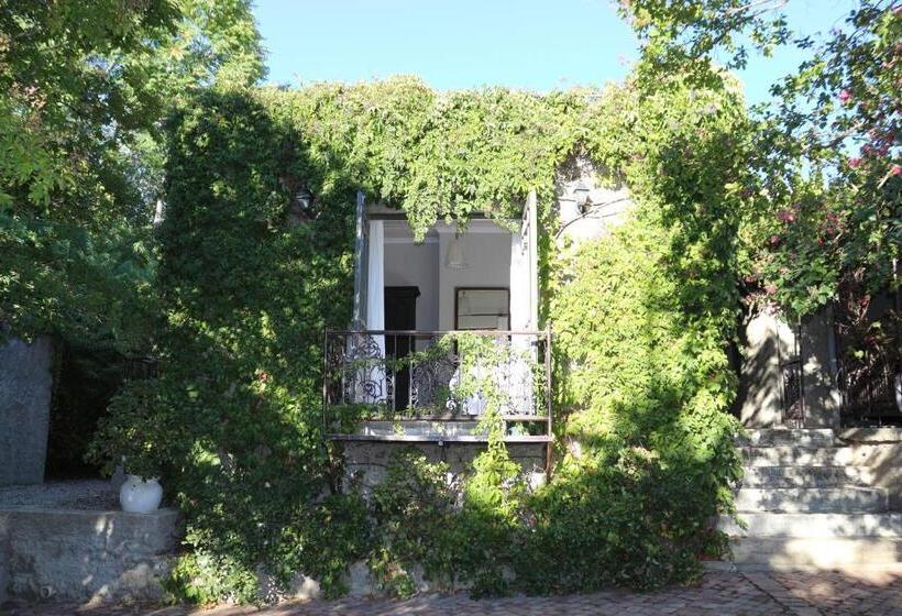 غرفة قياسية سرير كينج, Gabriella S