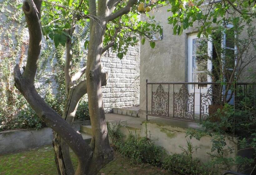 غرفة قياسية, Gabriella S