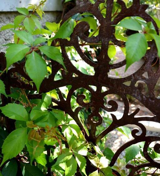 غرفة قياسية سرير كينج, Gabriella S