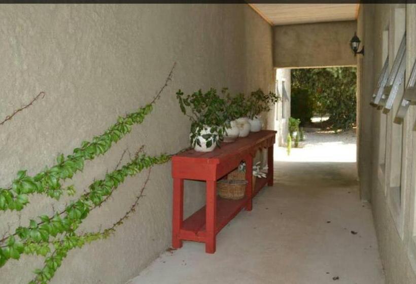 غرفة قياسية سرير كينج, Gabriella S