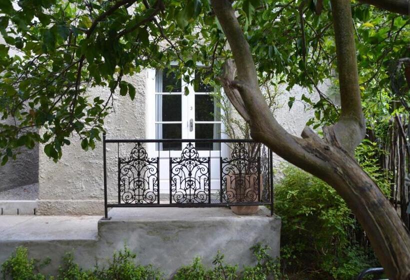 غرفة قياسية, Gabriella S