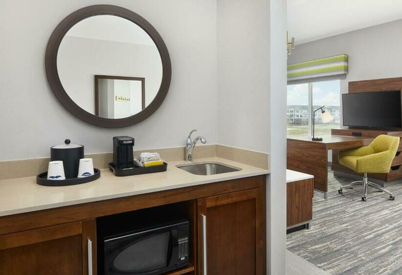 جناح سرير كينج, Hampton Inn Odessa Trinity