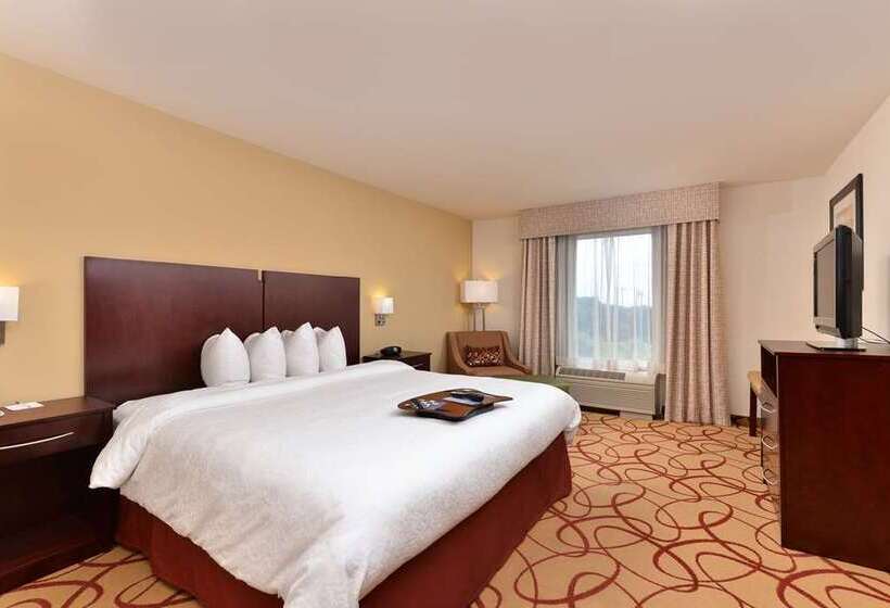 غرفة قياسية, Hampton Inn Odessa Trinity