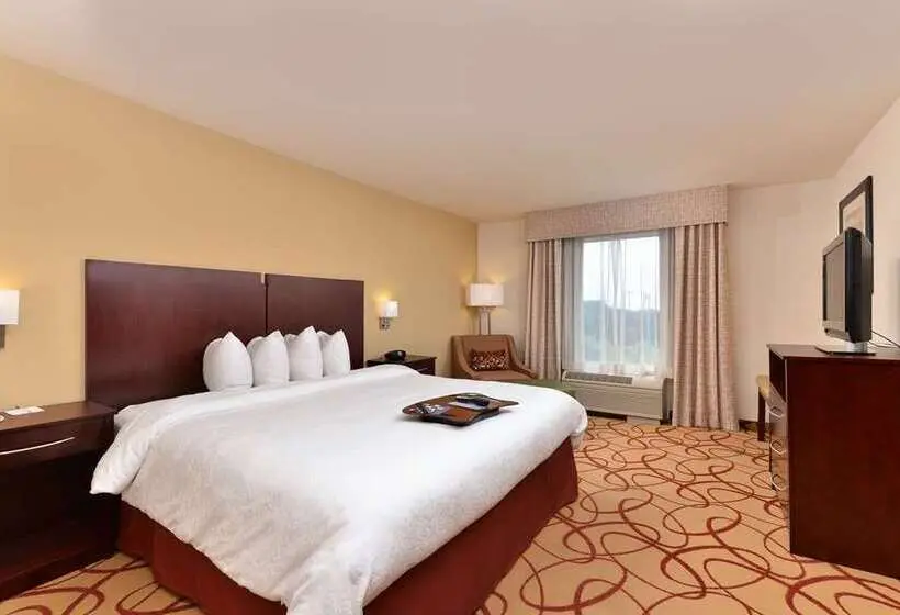 Standard-huone, Hampton Inn Odessa Trinity