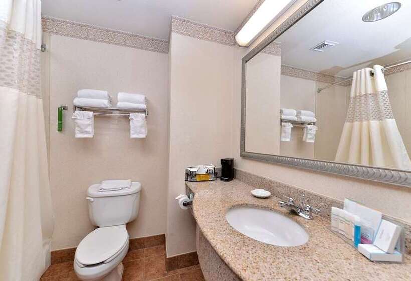 غرفة قياسية, Hampton Inn Odessa Trinity