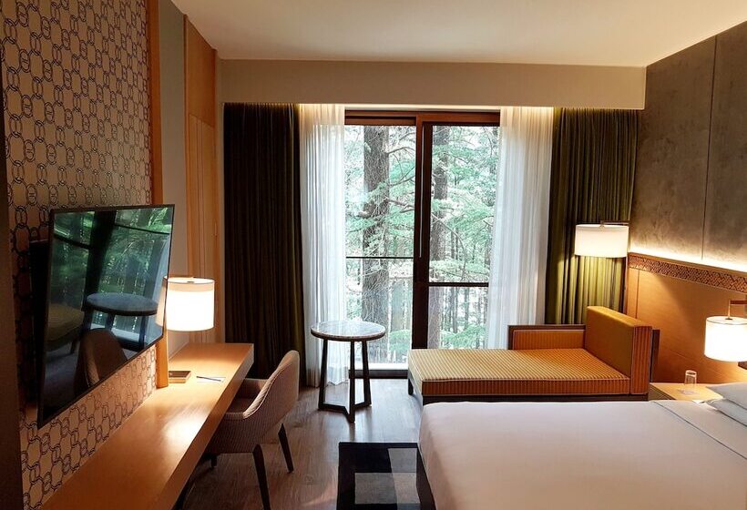 스탠다드 룸 더블 침대, Hyatt Regency Dharamshala Resort