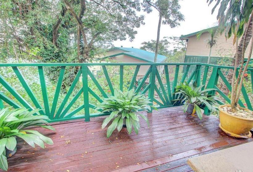 آپارتمان 2 خوابه, King Solomon