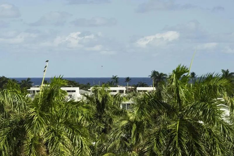 シングルデラックスルーム, Courtyard By Marriott Delray Beach