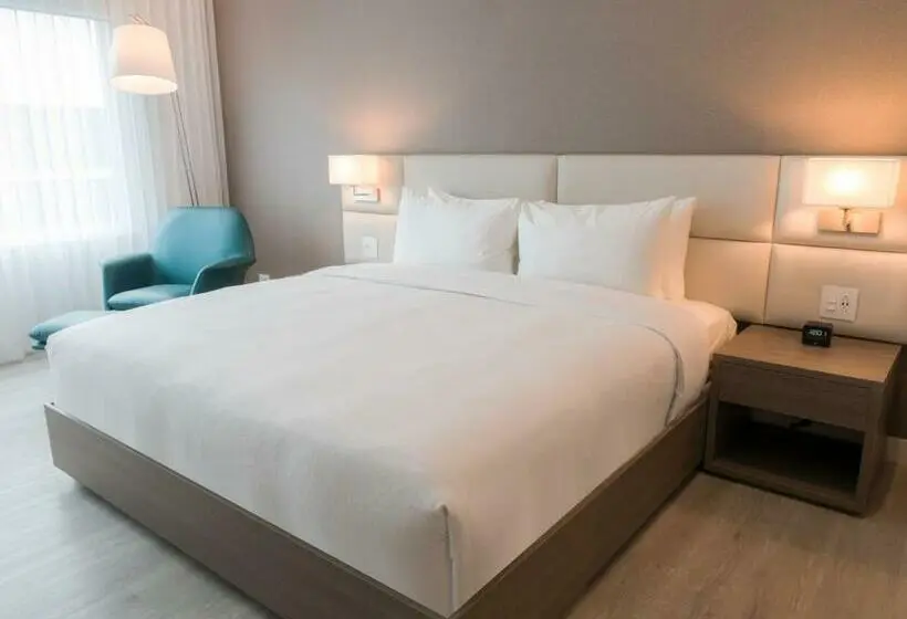 キングサイズベッドのスタンダードルーム, Hilton Garden Inn Santa Ana San Jose