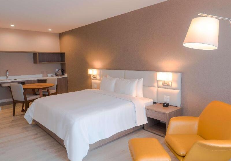 Номер Deluxe Кровать Кинг, Hilton Garden Inn Santa Ana San Jose