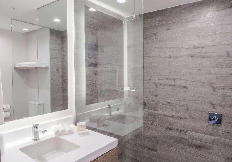 Стандартный Номер Кровать Кинг, Hilton Garden Inn Santa Ana San Jose