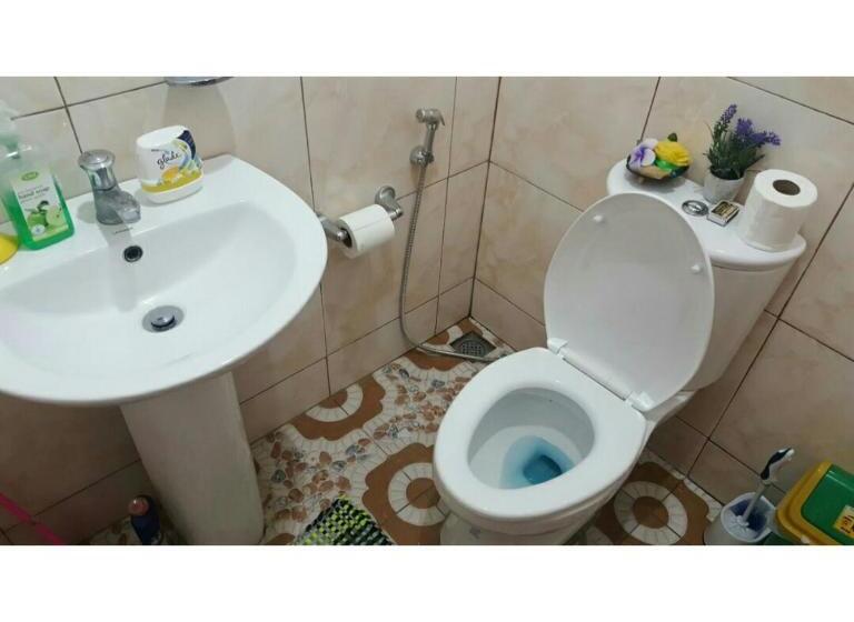 تختخواب در اتاق مشترک, Island Girl Bed And Breakfast
