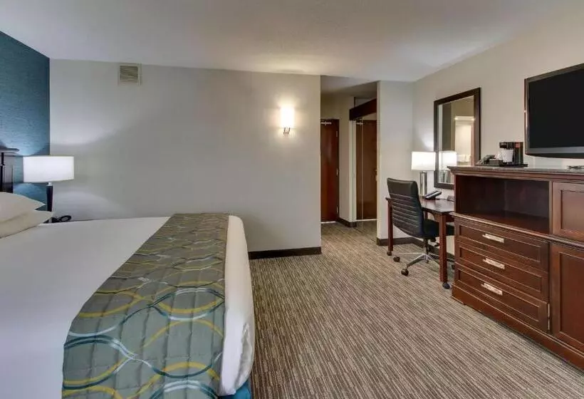 キングサイズベッドのスタンダードルーム, Best Western Plus Indianapolis North At Pyramids