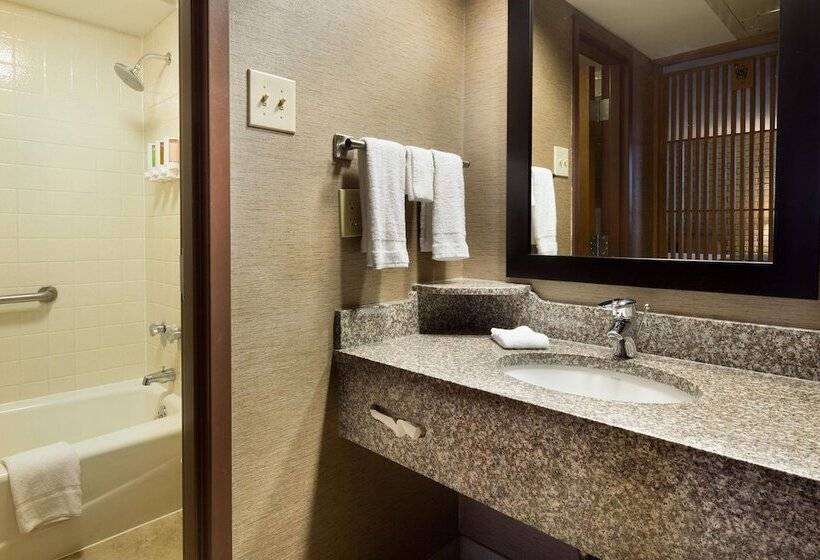 غرفة ديلوكس لذوى الاحتياجات الخاصة, Drury Inn Mobile