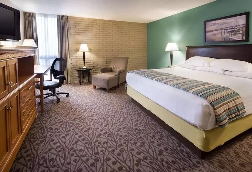 障害者適応デラックスルーム, Drury Inn Mobile