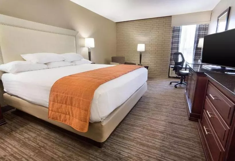 اتاق لوکس با تخت بزرگ, Drury Inn & Suites Greensboro