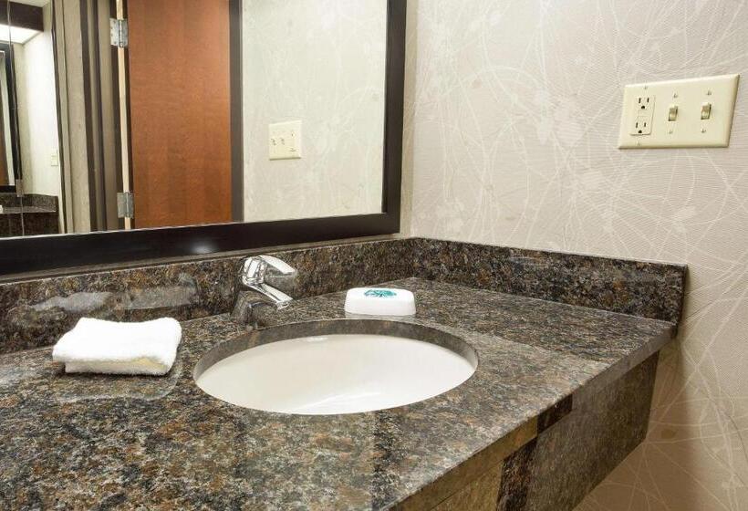 Номер Superior Кровать Кинг, Drury Inn & Suites Greensboro
