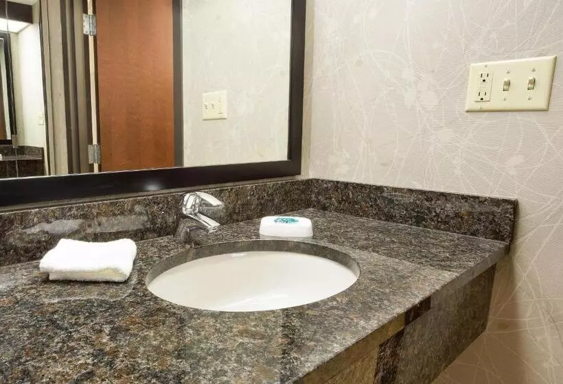 اتاق سوپریور با تخت بزرگ, Drury Inn & Suites Greensboro