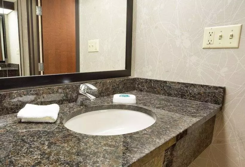اتاق لوکس, Drury Inn & Suites Greensboro