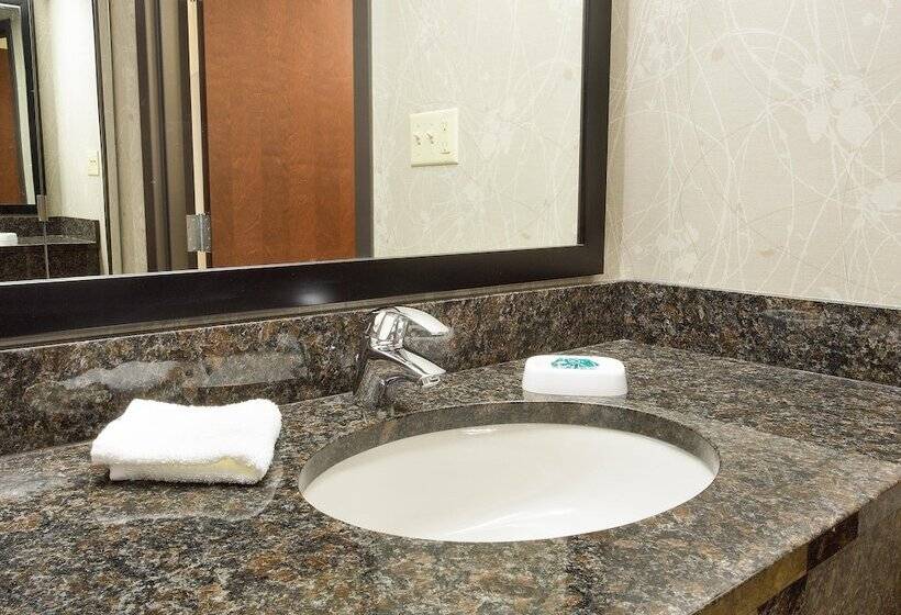 חדר דלוקס, Drury Inn & Suites Greensboro