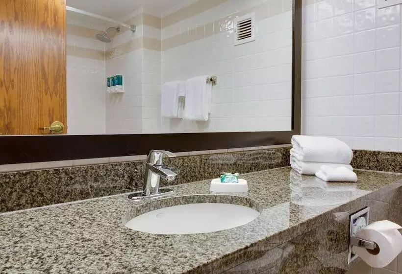 デラックスルーム, Drury Plaza Hotel San Antonio Airport