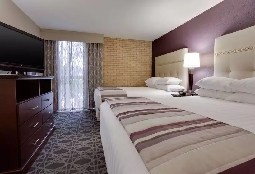 デラックスルーム, Drury Plaza Hotel San Antonio Airport