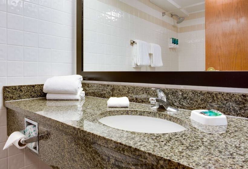 适用于残疾人士的豪华房间, Drury Plaza Hotel San Antonio Airport