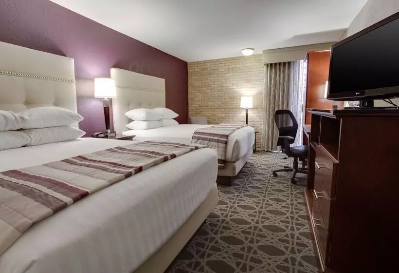 障害者適応デラックスルーム, Drury Plaza Hotel San Antonio Airport
